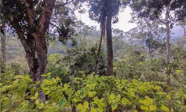 FINCA LISBOA EN VENTA SASAIMA