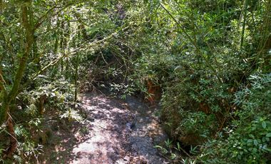 FINCA LISBOA EN VENTA SASAIMA