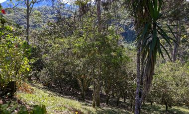 FINCA LISBOA EN VENTA SASAIMA