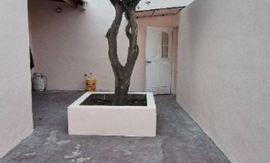 Departamento Tipo Casa en alquiler en Gerli Oeste