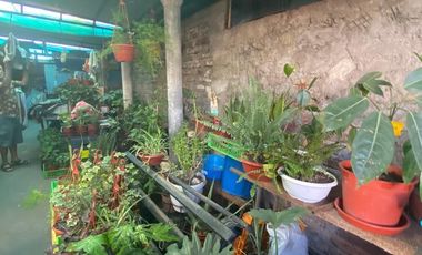 Casa en venta en ÑUÑOA