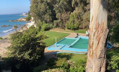 BORGOÑO, HIGUERILLAS, PLAYA NEGRA