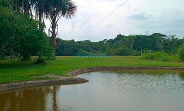 Locales Comerciales Venta CAL. Bella Luisa - RIOJA