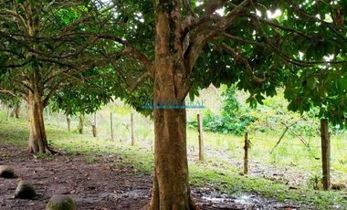 Locales Comerciales Venta CAL. Bella Luisa - RIOJA