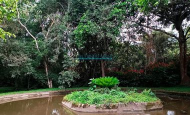 Locales Comerciales Venta CAL. Bella Luisa - RIOJA