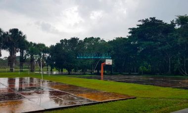 Locales Comerciales Venta CAL. Bella Luisa - RIOJA