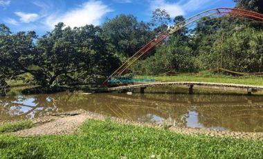 Locales Comerciales Venta CAL. Bella Luisa - RIOJA