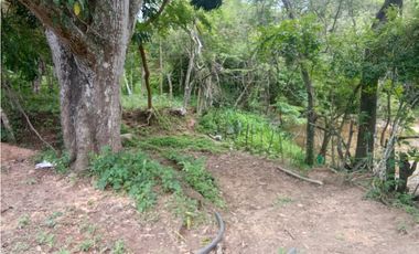 ESTUPENDO RANCHO DE DOBLE PROPOSITO CERCA DE JIQUIPILAS, CHIAPAS