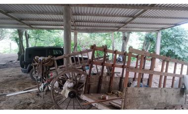 ESTUPENDO RANCHO DE DOBLE PROPOSITO CERCA DE JIQUIPILAS, CHIAPAS