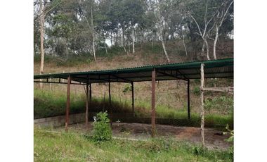 INCREIBLE PROPIEDAD PARA UNA QUINTA EN SAN FERNANDO, CHIAPAS