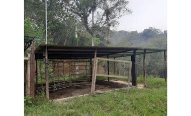 INCREIBLE PROPIEDAD PARA UNA QUINTA EN SAN FERNANDO, CHIAPAS