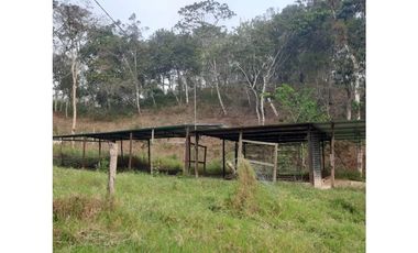INCREIBLE PROPIEDAD PARA UNA QUINTA EN SAN FERNANDO, CHIAPAS