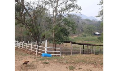 INCREIBLE PROPIEDAD PARA UNA QUINTA EN SAN FERNANDO, CHIAPAS