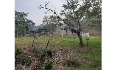 INCREIBLE PROPIEDAD PARA UNA QUINTA EN SAN FERNANDO, CHIAPAS