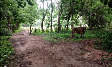 RANCHO  PARA FIJARSE EN EL, EN CINTALAPA, CHIAPAS.