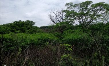 RANCHO  PARA FIJARSE EN EL, EN CINTALAPA, CHIAPAS.