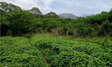 RANCHO  PARA FIJARSE EN EL, EN CINTALAPA, CHIAPAS.
