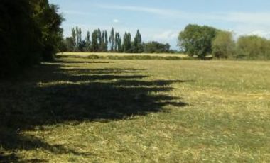 Oportunidad, Terreno Agrícola de 3.5 hectáreas