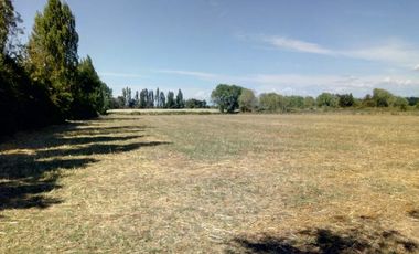 Oportunidad, Terreno Agrícola de 3.5 hectáreas