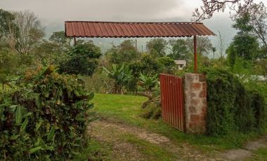 FINCA EN SANTA ANA EN VENTA SASAIMA