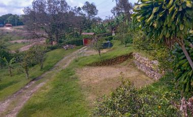 FINCA EN SANTA ANA EN VENTA SASAIMA