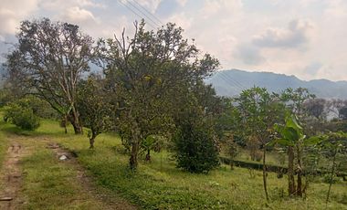 FINCA EN SANTA ANA EN VENTA SASAIMA