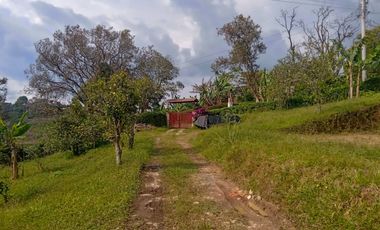 FINCA EN SANTA ANA EN VENTA SASAIMA