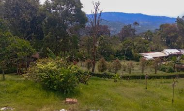 FINCA EN SANTA ANA EN VENTA SASAIMA