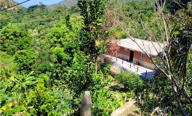 Venta de casa finca Minca 2 hectareas casa amoblada árboles frutales