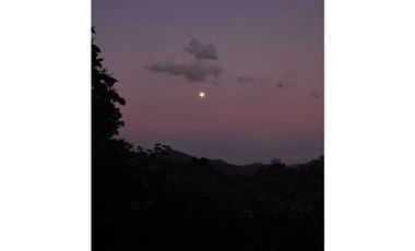 Venta de casa finca Minca 2 hectareas casa amoblada árboles frutales