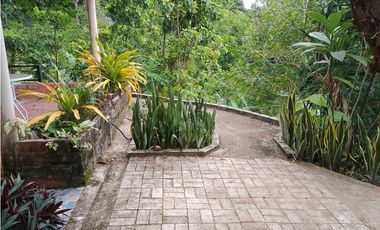 Venta de casa finca Minca 2 hectareas casa amoblada árboles frutales