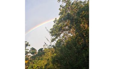 Venta de casa finca Minca 2 hectareas casa amoblada árboles frutales