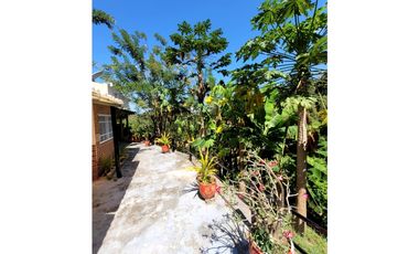 Venta de casa finca Minca 2 hectareas casa amoblada árboles frutales