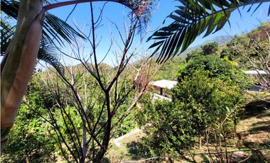Venta de casa finca Minca 2 hectareas casa amoblada árboles frutales