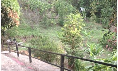 Venta de casa finca Minca 2 hectareas casa amoblada árboles frutales