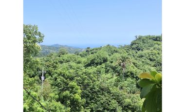 Venta de casa finca Minca 2 hectareas casa amoblada árboles frutales