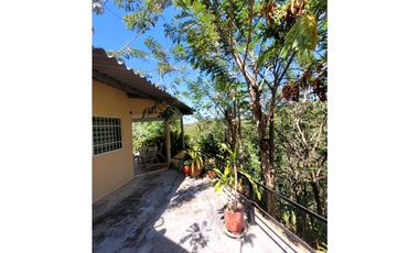 Venta de casa finca Minca 2 hectareas casa amoblada árboles frutales