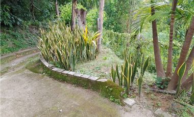 Venta de casa finca Minca 2 hectareas casa amoblada árboles frutales