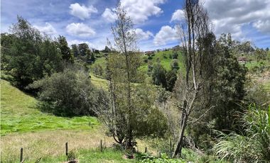 Finca en venta en La China Bello