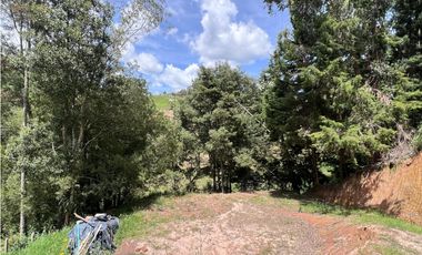 Finca en venta en La China Bello