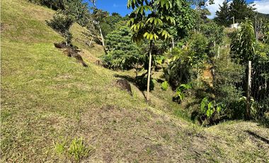Venta lote con vista Los Balsos Palmas Medellin