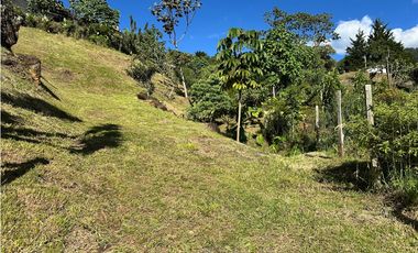 Venta lote con vista Los Balsos Palmas Medellin