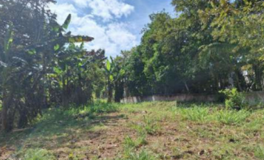 SAN CARLOS / TERRENO / 10433M2 / CASA OBRA GRIS / CALLE ASFALTADA