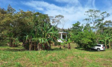 SAN CARLOS / TERRENO / 10433M2 / CASA OBRA GRIS / CALLE ASFALTADA