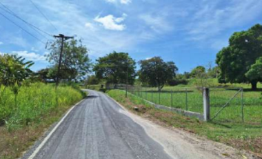 SAN CARLOS / TERRENO / 10433M2 / CASA OBRA GRIS / CALLE ASFALTADA