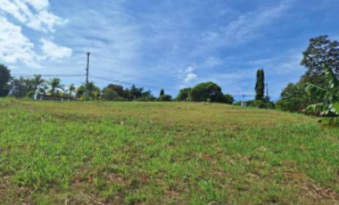 SAN CARLOS / TERRENO / 10433M2 / CASA OBRA GRIS / CALLE ASFALTADA