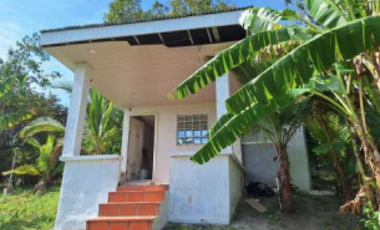 SAN CARLOS / TERRENO / 10433M2 / CASA OBRA GRIS / CALLE ASFALTADA