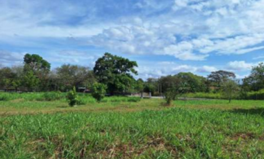 SAN CARLOS / TERRENO / 10433M2 / CASA OBRA GRIS / CALLE ASFALTADA