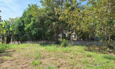 SAN CARLOS / TERRENO / 10433M2 / CASA OBRA GRIS / CALLE ASFALTADA