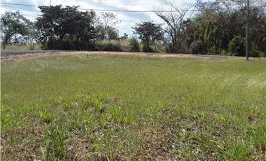 TERRENO / SAN CARLOS / PLAYA CORONA / 1112M / CALLE ASFALTADA